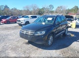 Volkswagen Tiguan 2.0T Wolfsburg Edition WVGRV7AX2HK003703 снимка