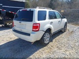 Ford Escape Xlt 1FMCU0D73AKA10810 снимка