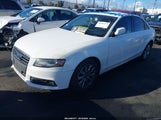 Miniaturka zdjęcia 2