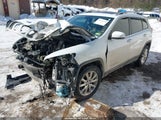 Jeep Cherokee Limited 1C4PJMDSXGW204925 снимка