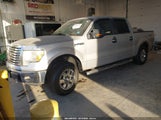 Miniaturka zdjęcia 2