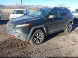 Jeep Cherokee Trailhawk 4X4 1C4PJMBBXHD239920 снимка