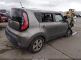 Miniaturka zdjęcia 4