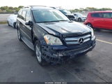 Mercedes-Benz Gl 450 4Matic 4JGBF71E49A526385 снимка