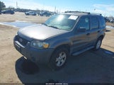 Ford Escape Xlt/Xlt Sport 1FMCU93116KA18834 fotografie