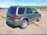 Ford Escape Xlt/Xlt Sport 1FMCU93116KA18834 photo
