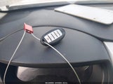Miniaturka zdjęcia 11