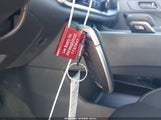 Miniaturka zdjęcia 11