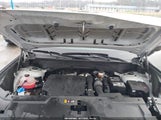 Miniaturka zdjęcia 10