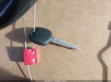 Miniaturka zdjęcia 11