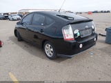 Miniaturka zdjęcia 3
