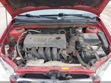 Miniaturka zdjęcia 10