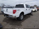 Ford F-150 Xlt 1FTFW1EF8EKF51087 снимка