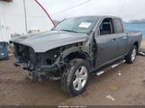 Dodge Ram  Slt/Sport/Trx 1D7RV1GT4AS106803 fotografie