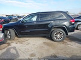 Jeep Grand Cherokee Limited 1C4RJFBG7FC604461 снимка
