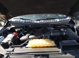 Ford F-150 Xlt 1FTEW1EGXHFB77888 снимка
