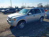 Ford Escape Limited 1FMCU94G69KB77193 снимка
