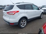 Miniaturka zdjęcia 4