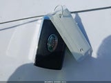 Miniaturka zdjęcia 11