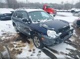 Hyundai Santa Fe Gls/Lx KM8SC13E05U895532 снимка