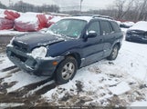 Hyundai Santa Fe Gls/Lx KM8SC13E05U895532 снимка