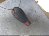 Miniaturka zdjęcia 11