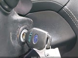 Miniaturka zdjęcia 11