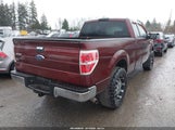 Ford F-150 Fx4/Lariat/Xl/Xlt 1FTPX14V79KC88381 photo