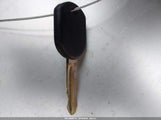 Miniaturka zdjęcia 11
