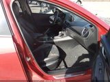 Miniaturka zdjęcia 5