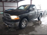 Dodge Ram  Slt/Sport/Trx 3D7JB1EP9AG110008 снимка