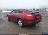 Honda Accord Crosstour Ex-L 5J6TF2H50BL007503 снимка