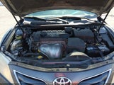 Miniaturka zdjęcia 10