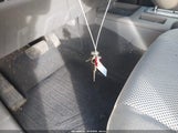 Miniaturka zdjęcia 11
