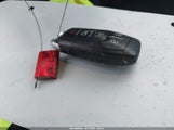 Miniaturka zdjęcia 11