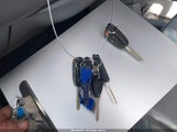 Miniaturka zdjęcia 11