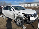 Miniaturka zdjęcia 6
