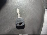 Miniaturka zdjęcia 11