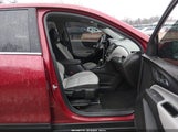 Miniaturka zdjęcia 5