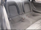 Miniaturka zdjęcia 8
