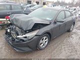 Miniaturka zdjęcia 2
