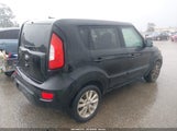 Miniaturka zdjęcia 4