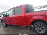 Ford F-150 Xlt 1FTEW1CP3KKC98621 снимка