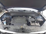 Miniaturka zdjęcia 10