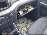 Miniaturka zdjęcia 6