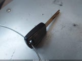 Miniaturka zdjęcia 11