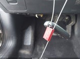 Miniaturka zdjęcia 11