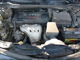 Miniaturka zdjęcia 10