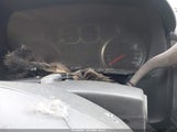Chevrolet Tahoe Ls 1GNSCAKC0GR243561 снимка