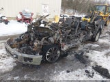 Miniaturka zdjęcia 2